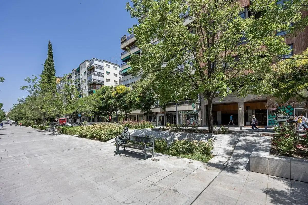 Flat with lift for sale in Avenida de la Constitución 22, imagen 33