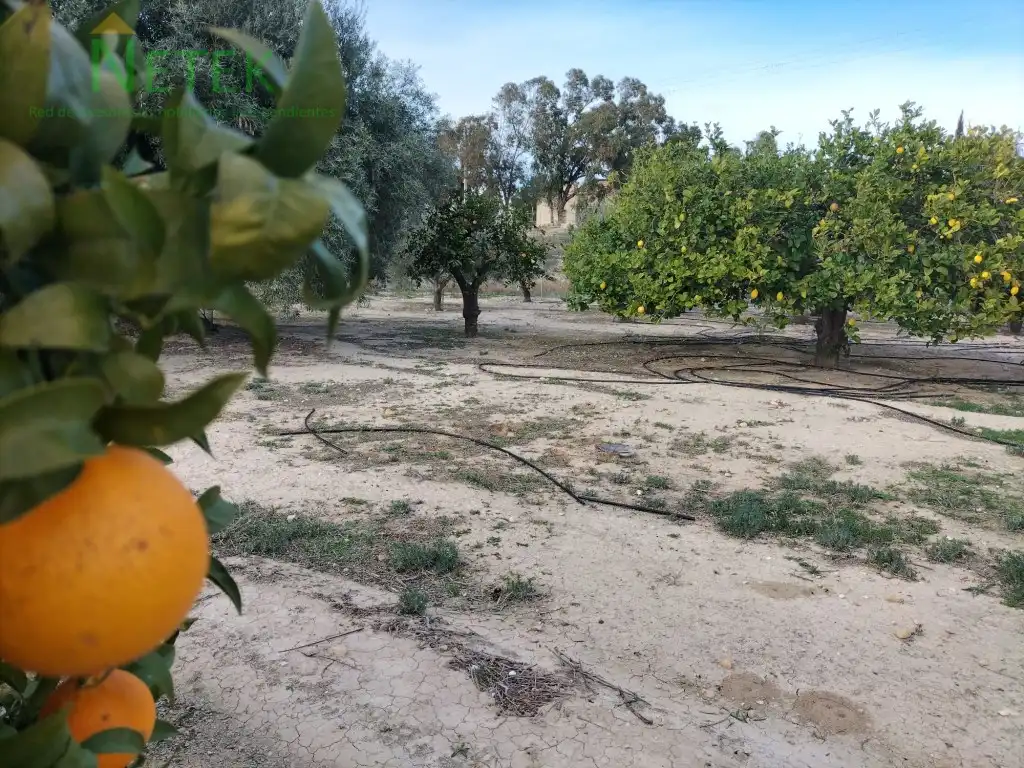 Casa o xalet en venda a Calle Sector Zep-V1 Valientes 1, Los Valientes
