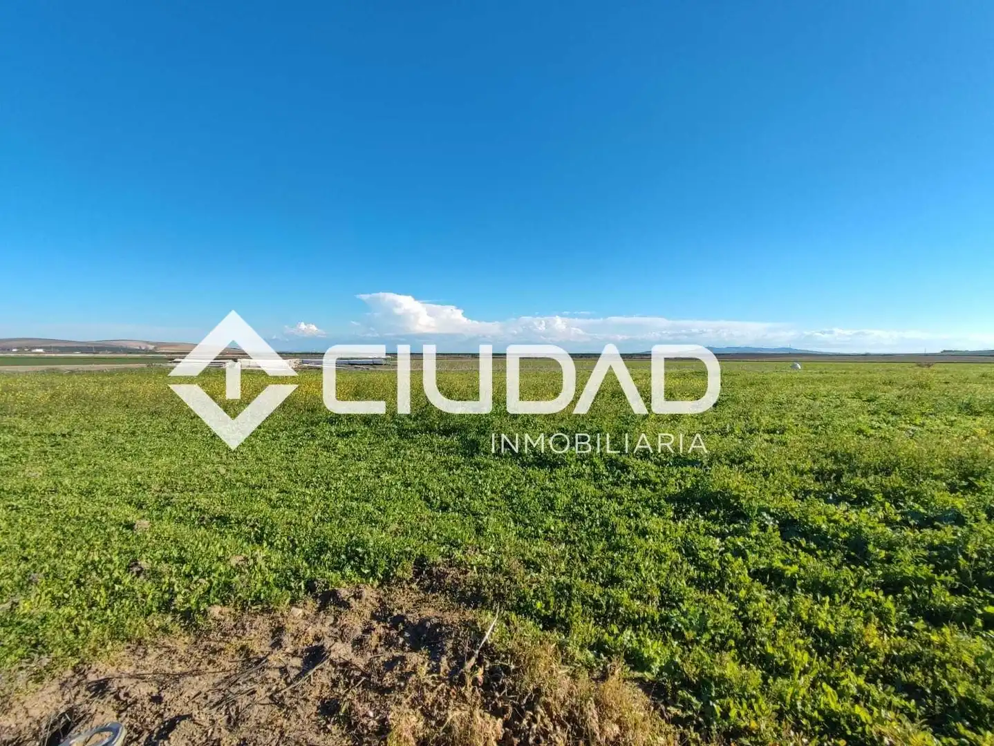 Terreno en venta en Lebrija