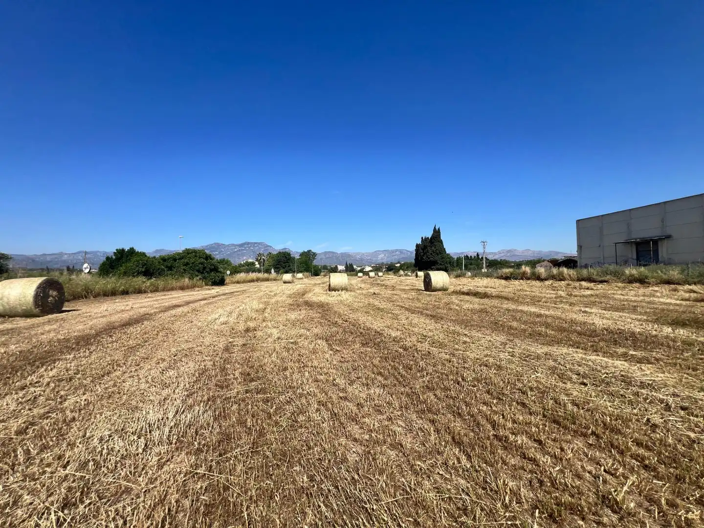 Rural land for sale in Carretera de València 5, imagen 11
