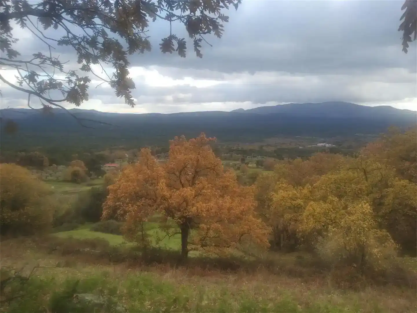 Pis en venda en Piedralaves amb Jardí privat