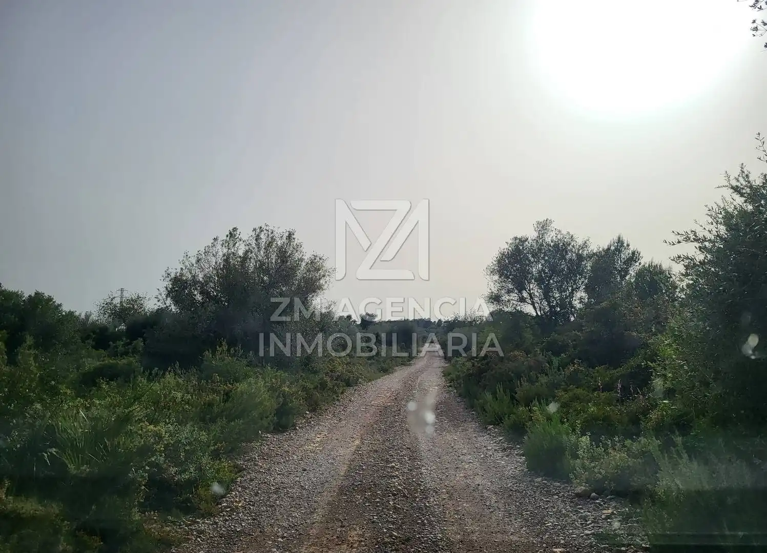 Terreno rustico in vendita a Corral de la Culla, imagen 22