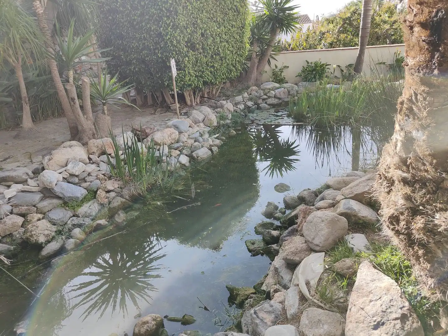 Xalet amb piscina de lloguer a Calle Barranco los Marinos, imagen 57