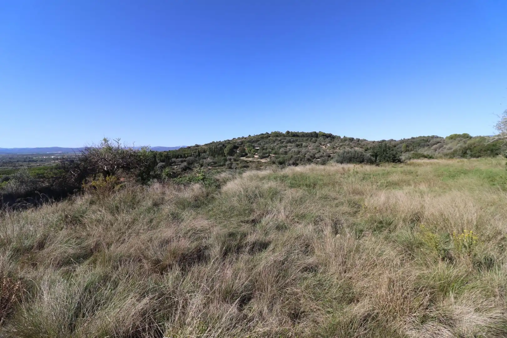 Grundstücke zum Verkauf in Ulldecona