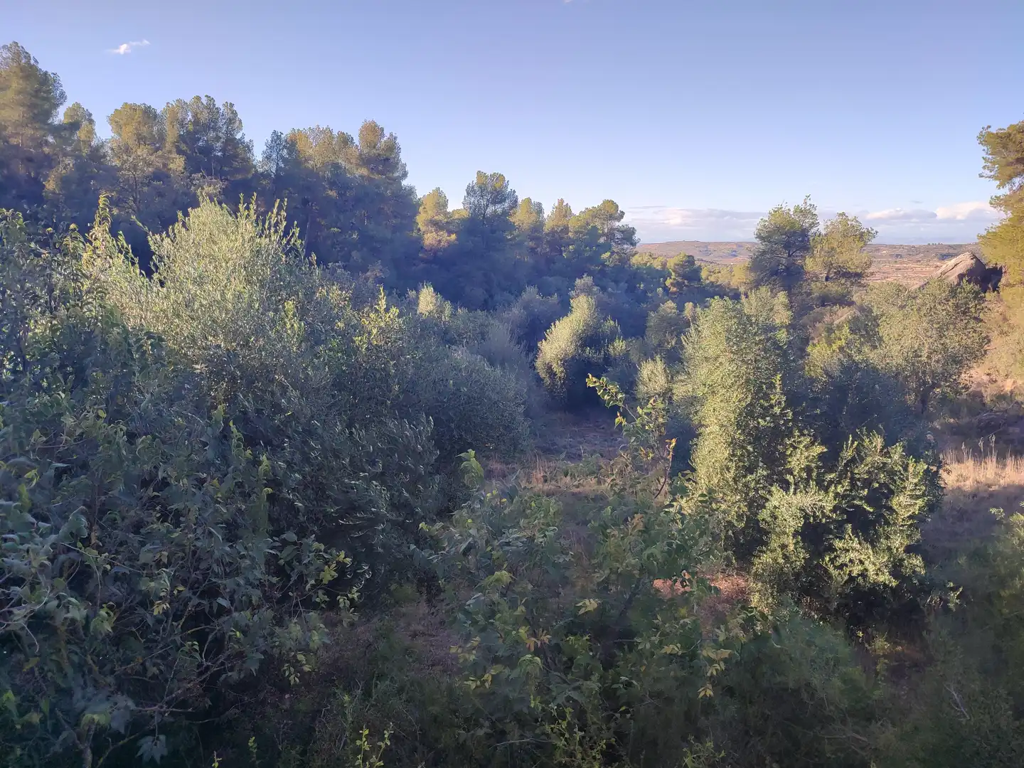 Terreno rústico en venta en L'Albagés, imagen 21