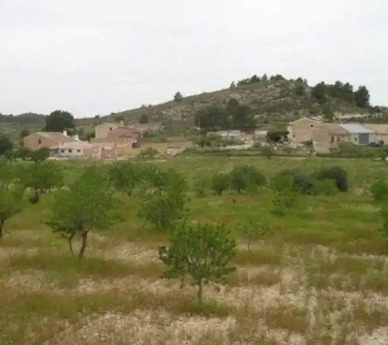 Rustikales Grundstück zum Verkauf in Jumilla, imagen 3