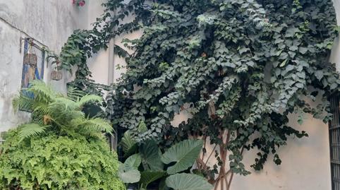 Foto 4 de Casa o xalet en venda a Centro, Jerez de la Frontera