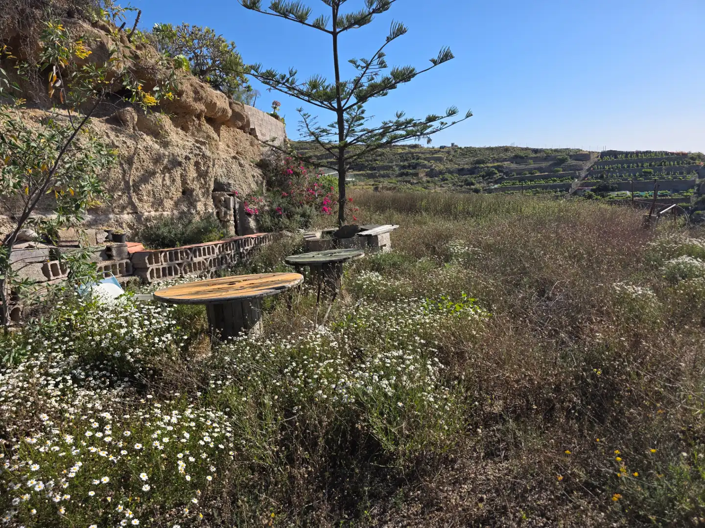 Garten von Grundstücke zum Verkauf in Güímar
