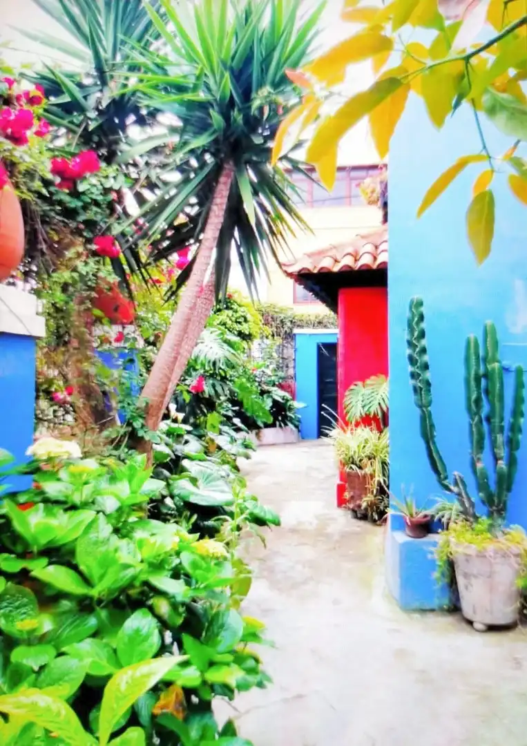 Casa amb jardí en venda a Los Realejos pueblo, imagen 4