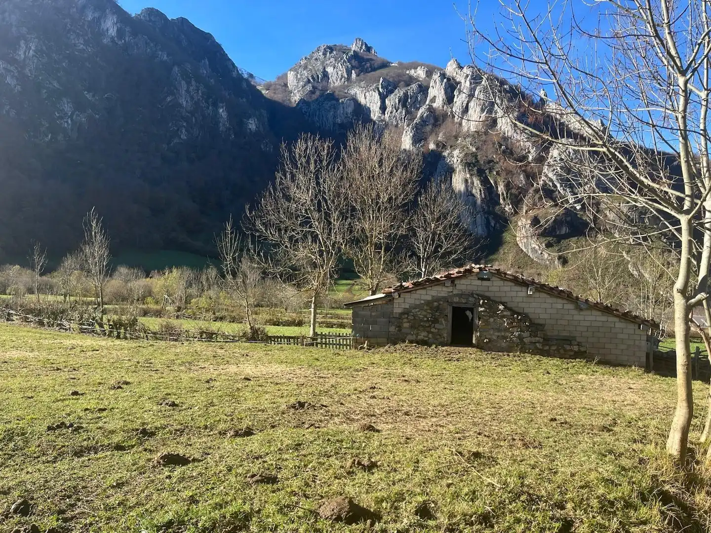 Land for sale in Aller