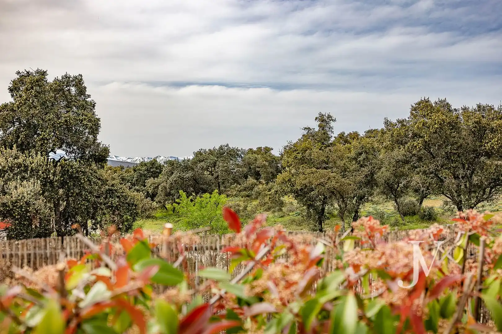 Casa o xalet de lloguer en Madrid amb Aire condicionat, Calefacció i Jardí privat