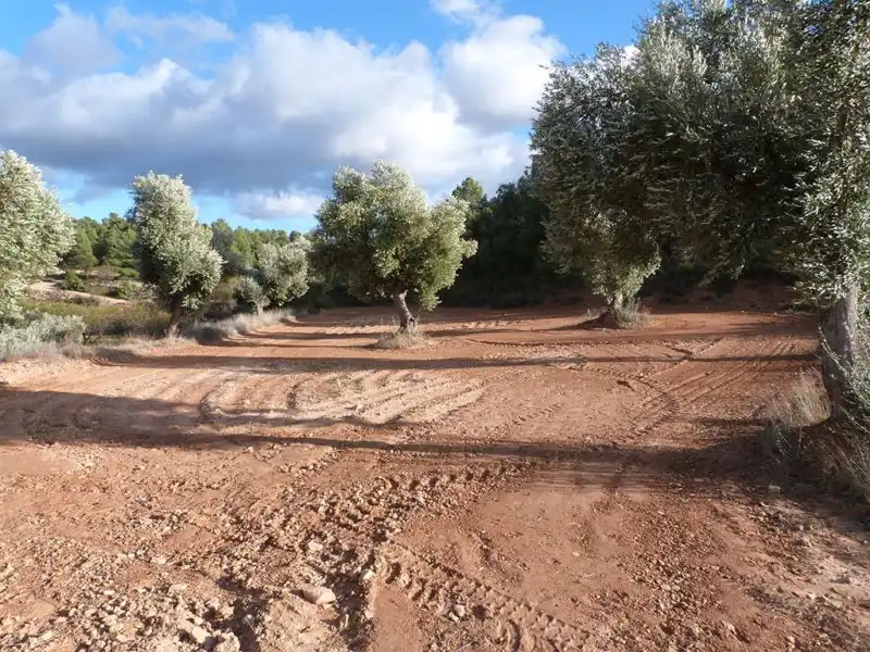 Finca rústica en venta en Valjunquera
