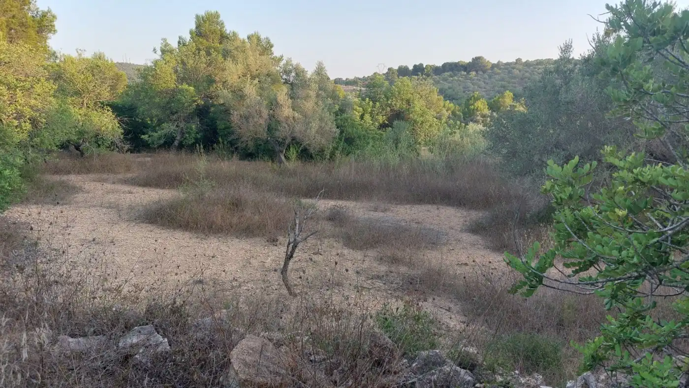 Terreno rustico in vendita a El Perelló, imagen 15