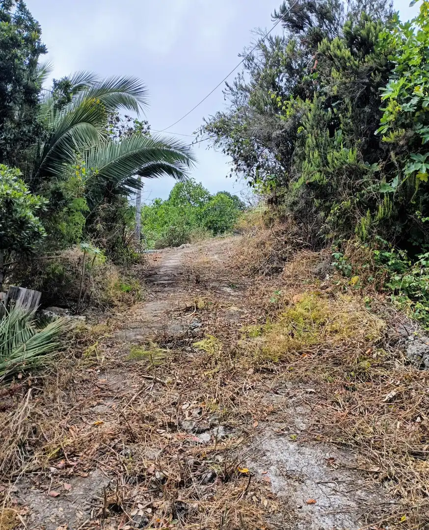 Rural land for sale in La Vega - El Amparo - Cueva del Viento, imagen 15
