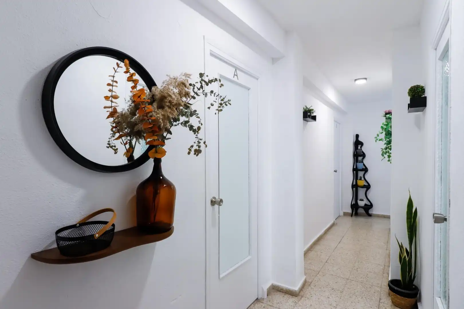 Calle General Elizaicin, Pla - Carolinas, Alicante / Alacant