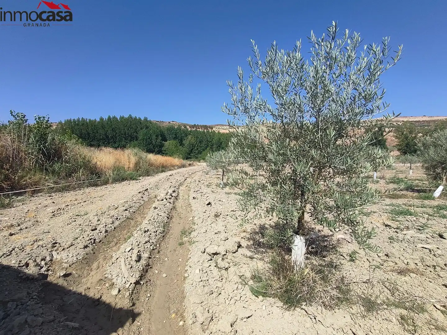 Rural land for sale in Santa Cruz del Comercio, imagen 6