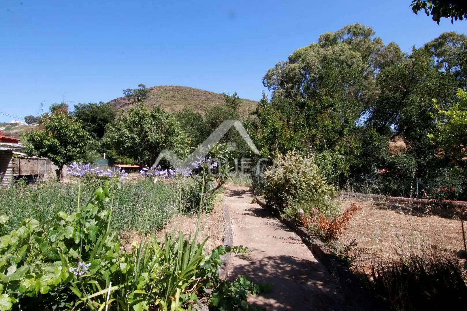 Terreno en venta en Vega de San Mateo