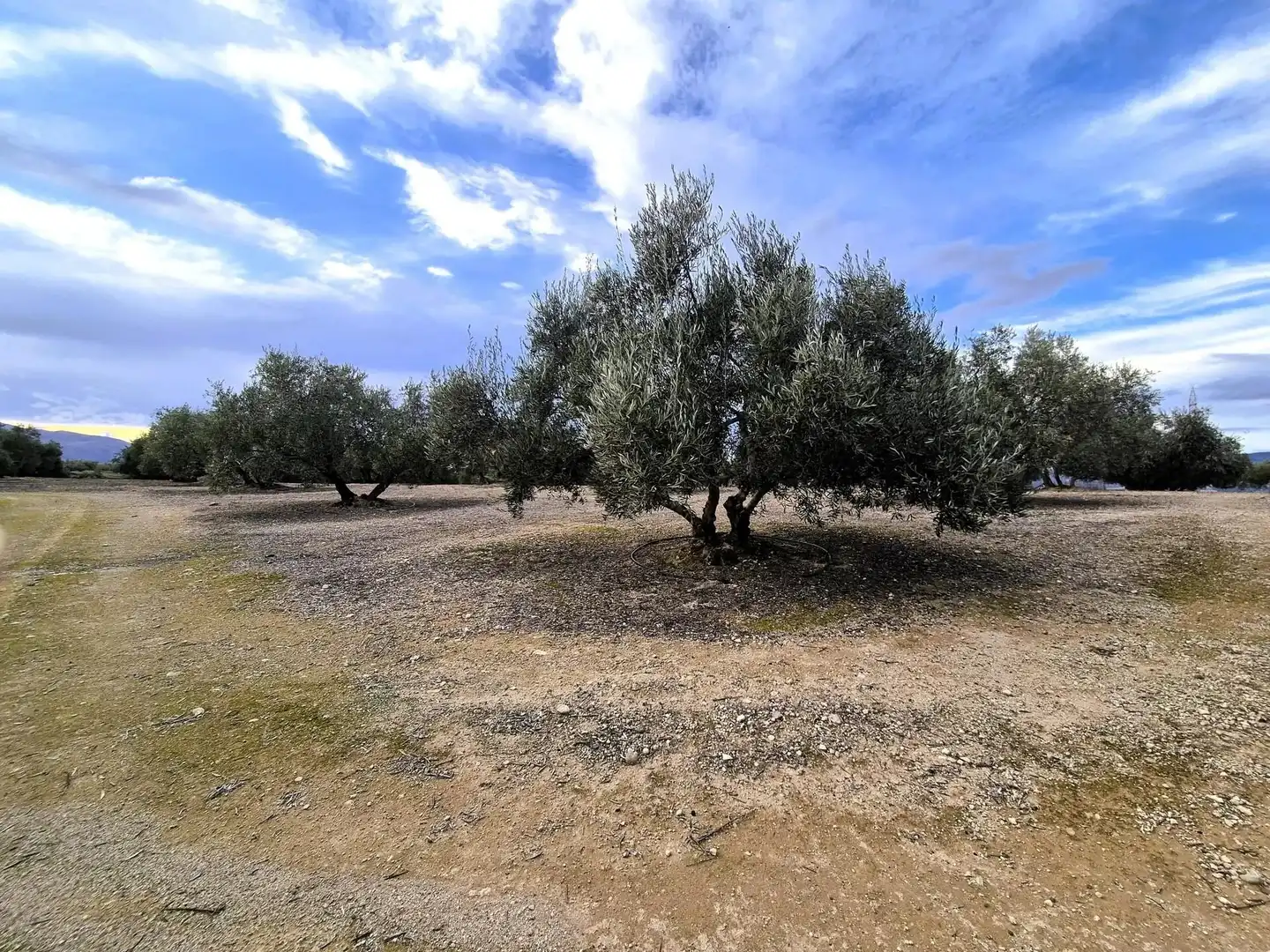 Rural land for sale in Huétor Tájar, imagen 8