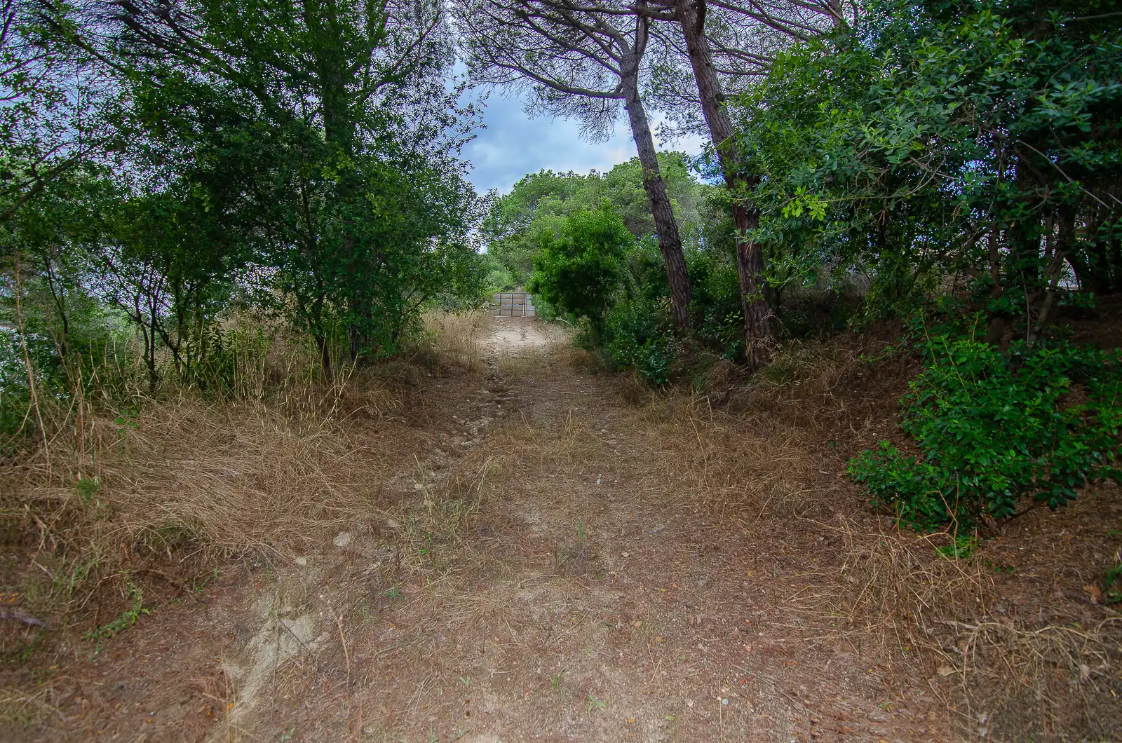 Casa o xalet en venda a Argentona Est