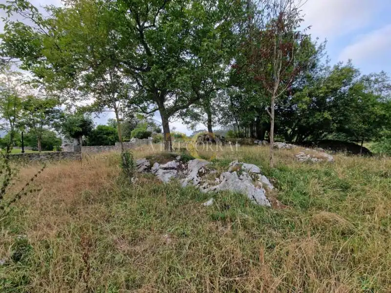 Terreno residencial en venta en La Galguera, imagen 6