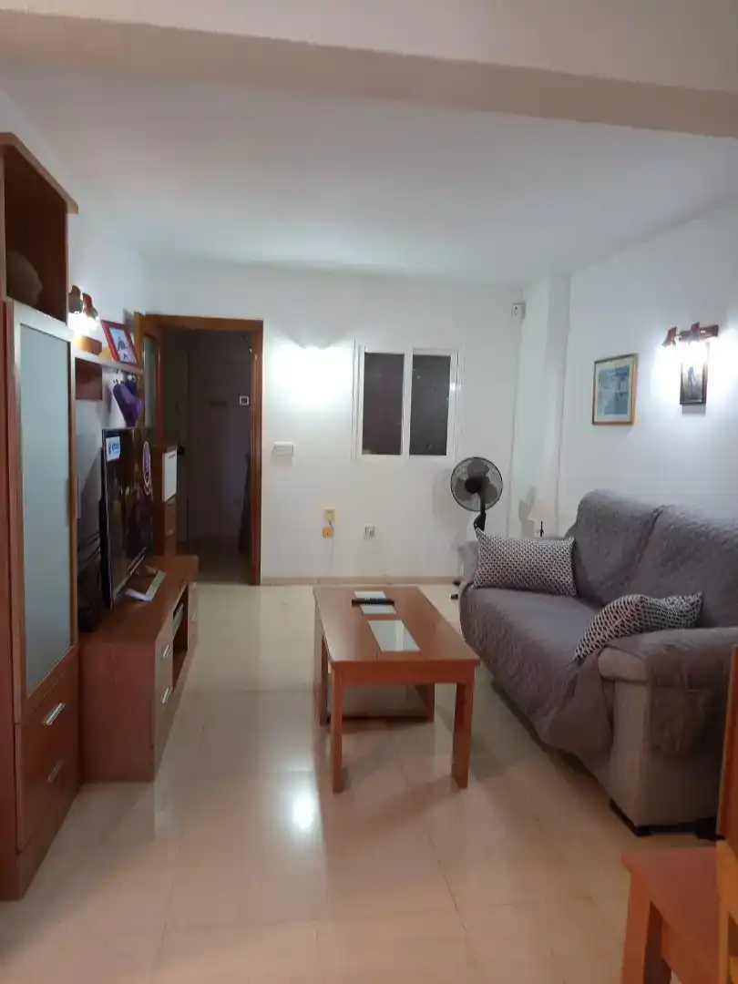Living room of Apartments for rent in Juzgados - Plaza de Toros