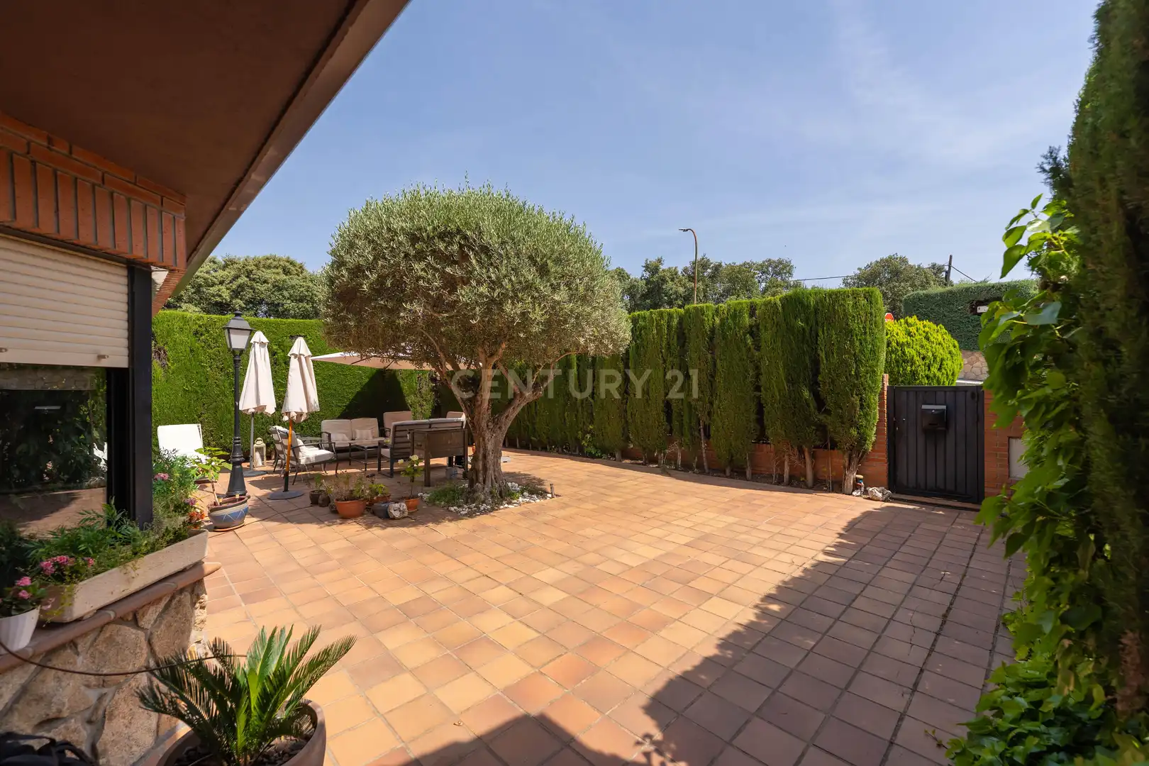 Jardín de Casa o chalet de alquiler en Galapagar con Jardín privado, Piscina y Horno