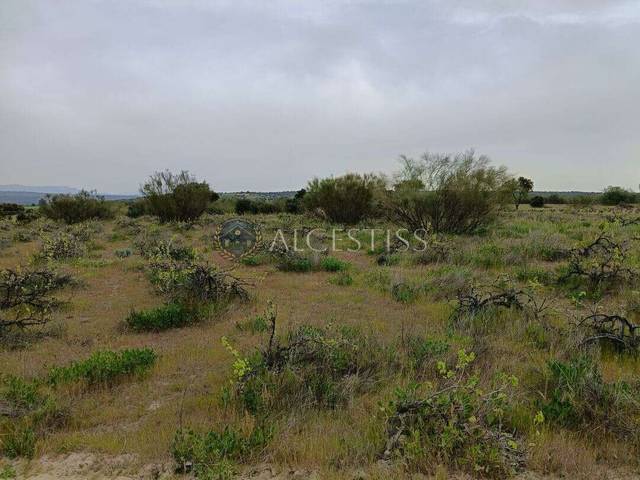 Terreno en Venta en Aldea del Fresno