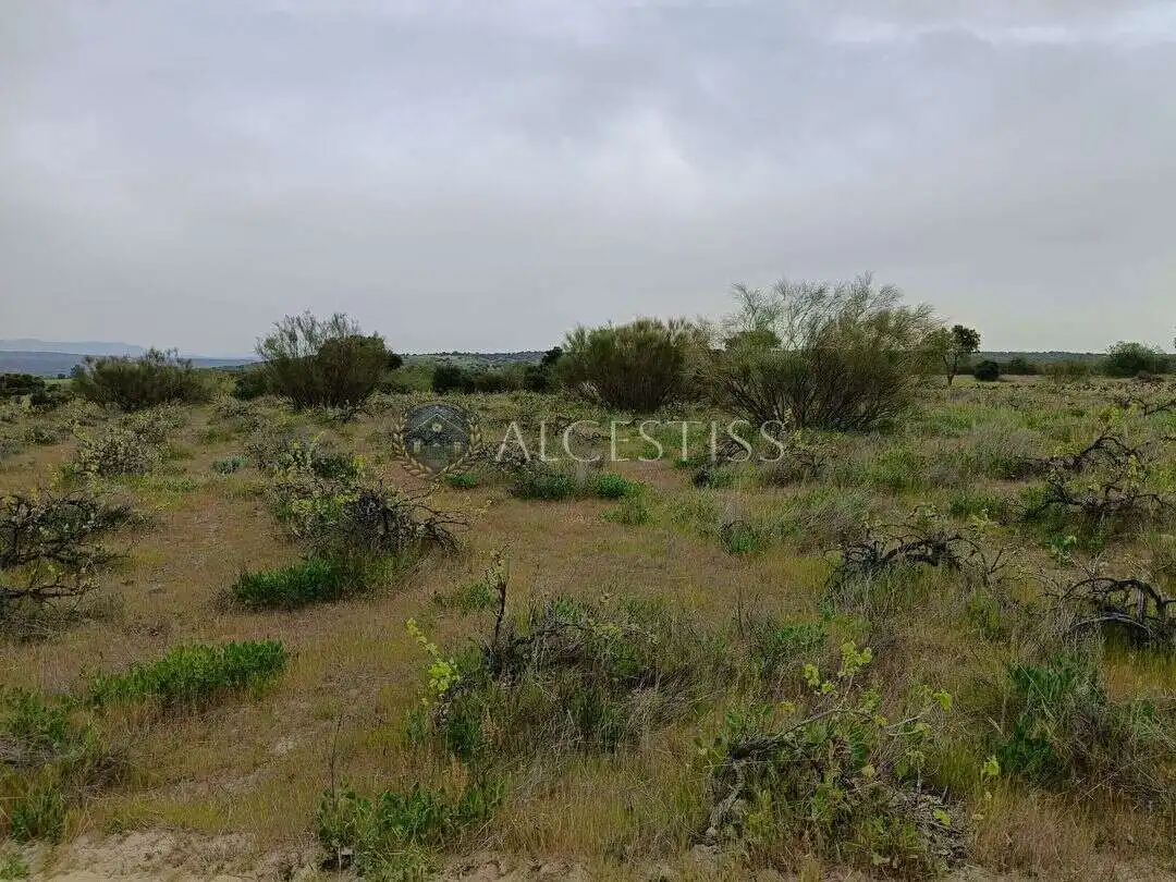 Terreno en venta en Aldea del Fresno