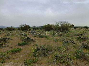 Rural land for sale in Aldea del Fresno