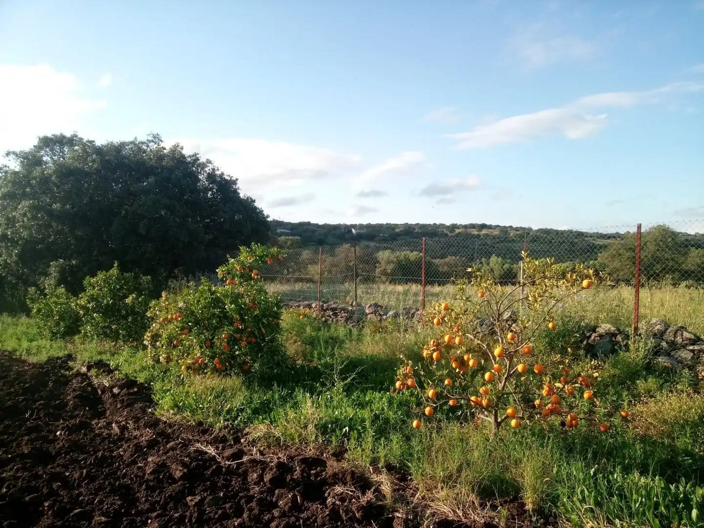Terreni e lotti in vendita a Castilblanco de los Arroyos, imagen 14