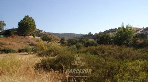 SUELO URBANO DE 36.000 M2 EN LOS ENCINARES DE ALCOLEA., imatge 3