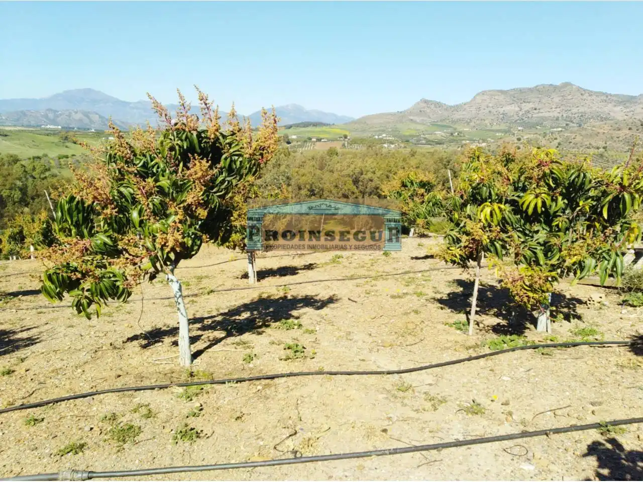 Casa rustica con piscina in vendita a Calle CARRETERA PIZARRA, imagen 5