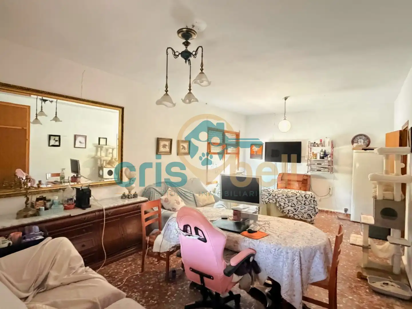 Casa con giardino in vendita a Pedanías Sur, imagen 12