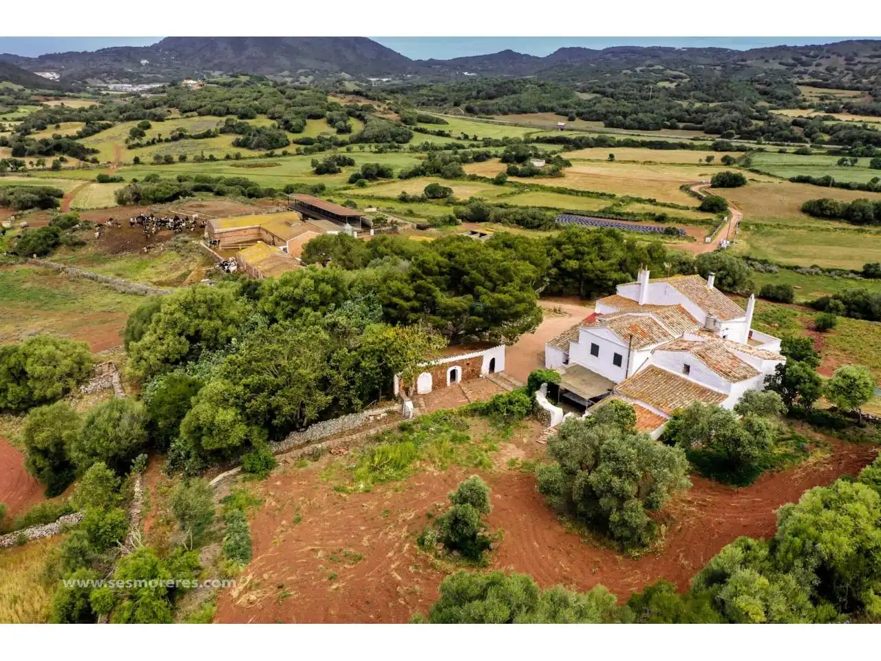Rural land for sale in Ciutadella