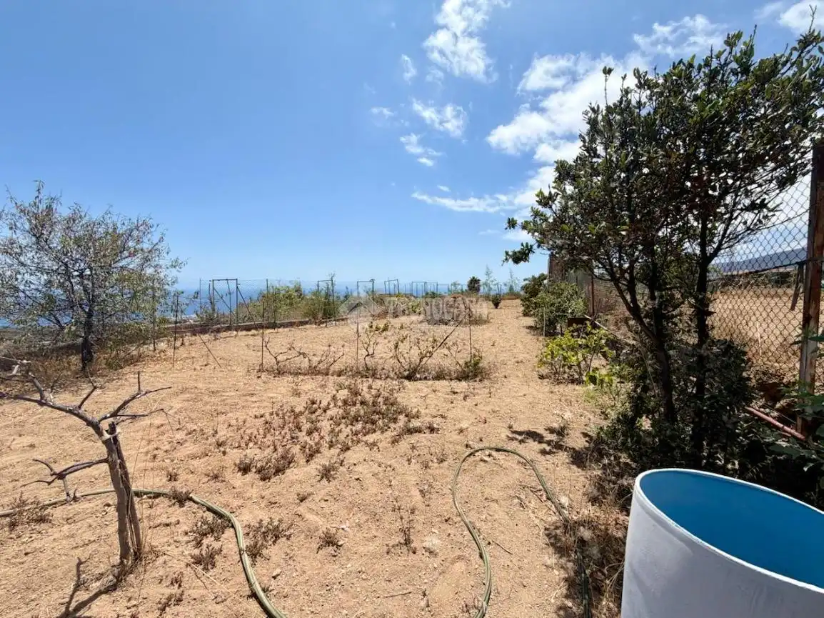 Finca rústica en venta en Arafo