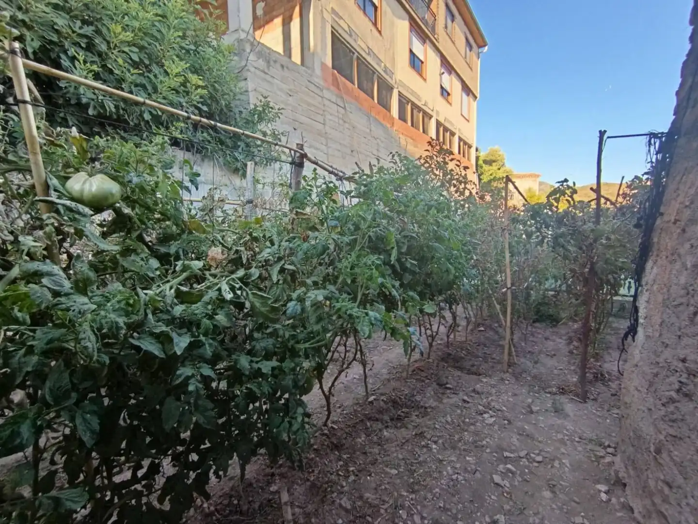 Casa rústica con jardín en venta en romeo, imagen 27
