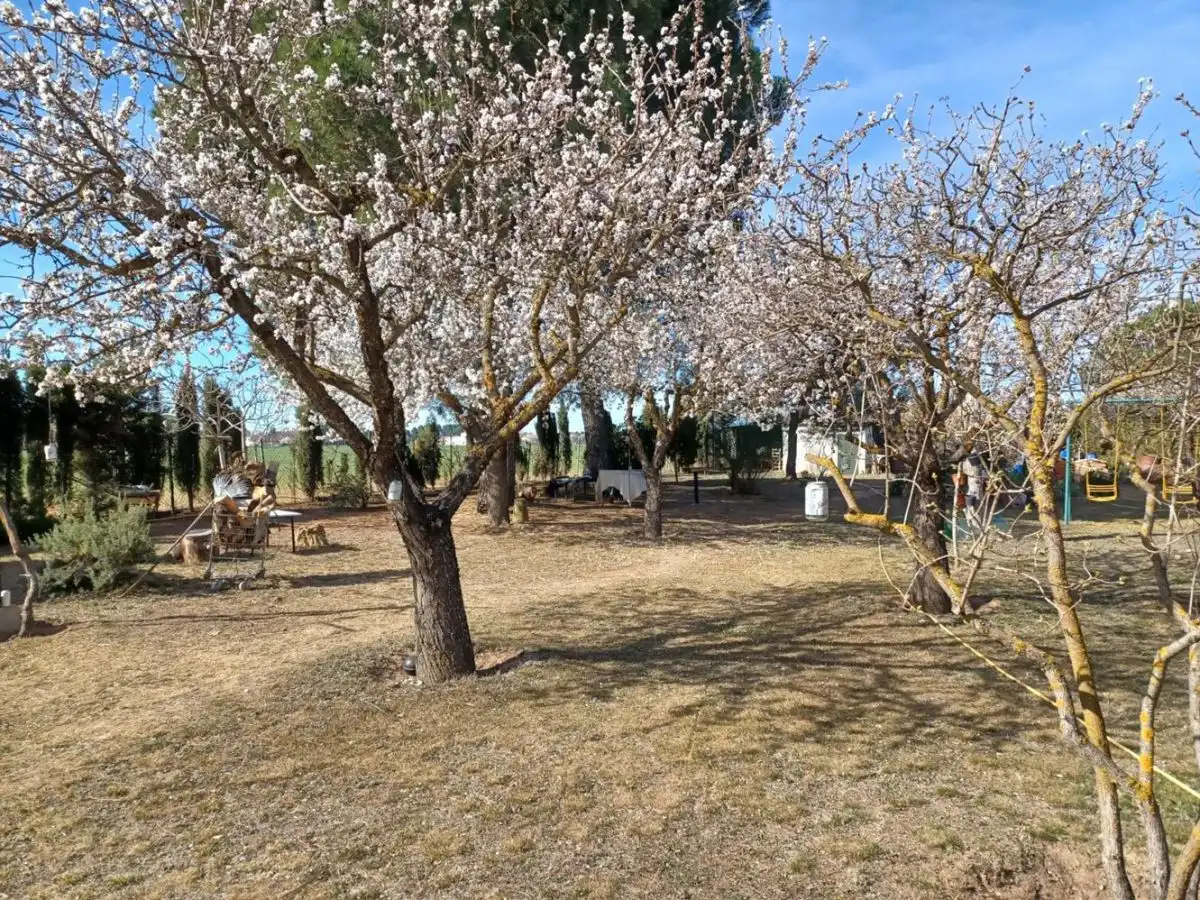 Casa rústica amb jardí en venda a La Roda, imagen 10