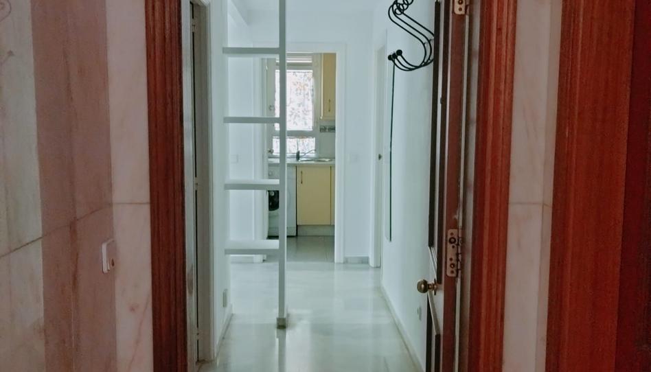 Photo 1 of Apartment to rent in Santa Maria, Ciudad Expo, Sevilla