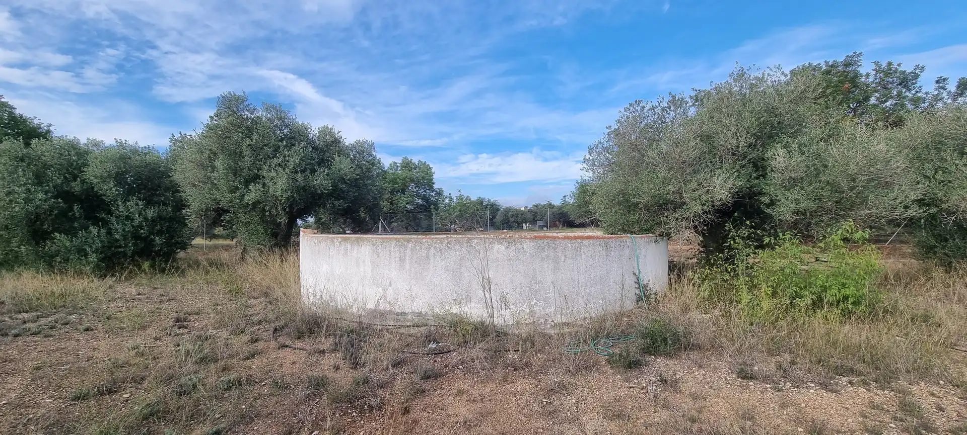 Finca rústica en venta en Vial Camino, Riudoms
