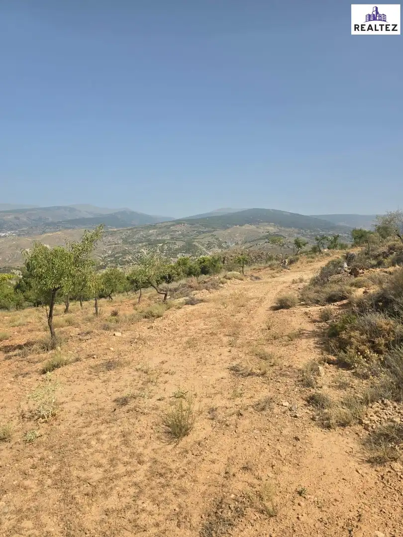 Terrain rustique à vendre à Alcolea, imagen 4