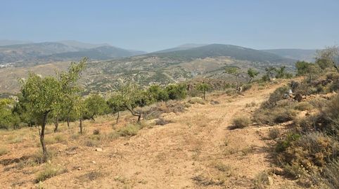 Terreno rústico en Alcolea  10.839 m2 en plena Alpujarra Almeriense, immagine 4