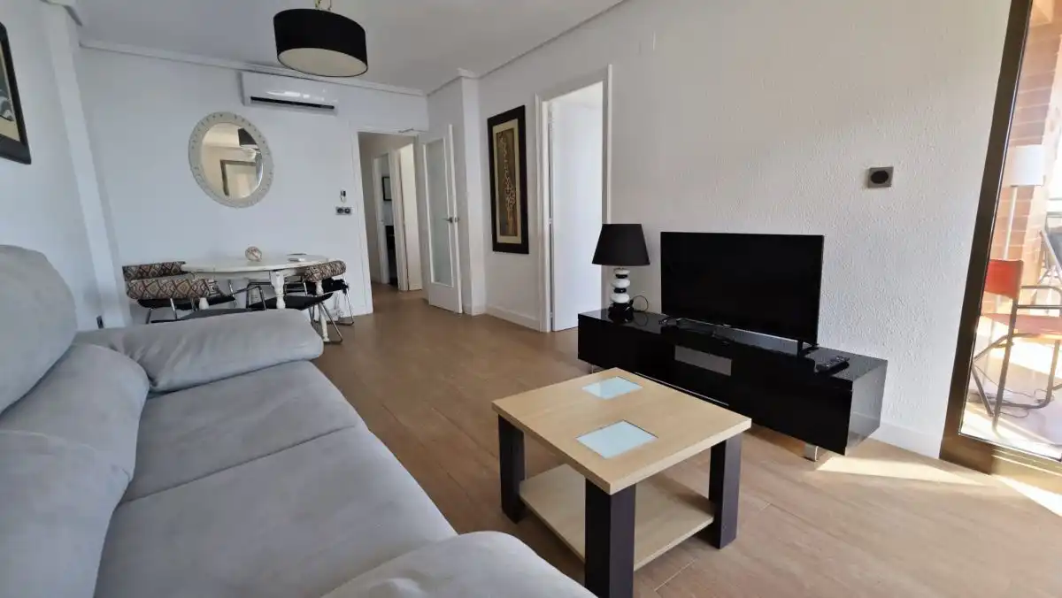 Living room of Flat for rent in Elche / Elx  with Air Conditioner, Heating and Parquet flooring