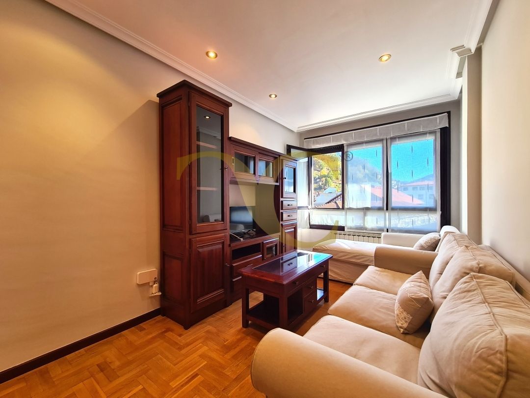 Sala de estar de Piso en venta en Mieres (Asturias) con Calefacción, Amueblado y Alarma