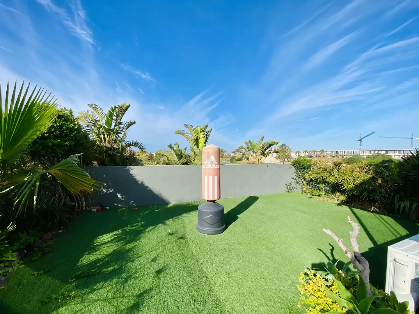 Vista exterior de Apartamento en venta en El Ejido con Jardín privado