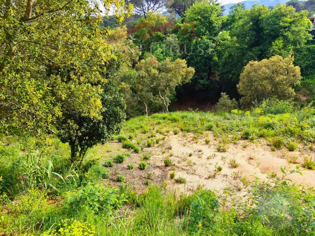 Terreno residencial en venta en Niàgara Parc - Àgora Parc, imagen 13