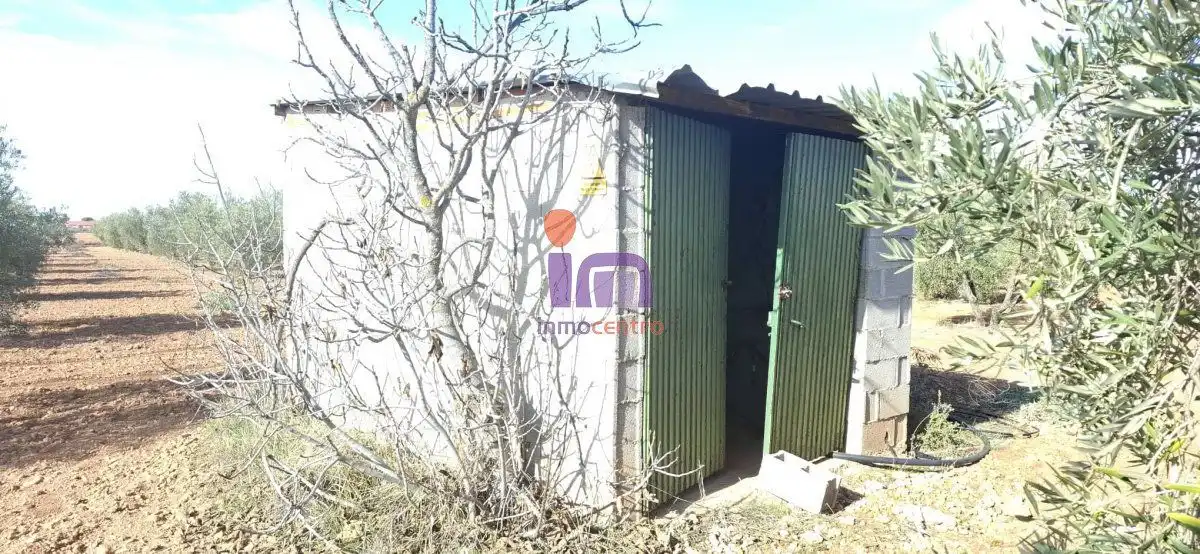 Casa rústica en venda a Valdepeñas, imagen 6