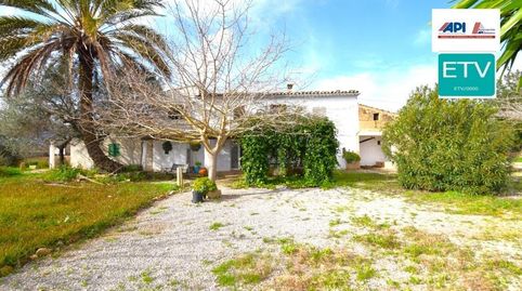 Finca rústica con casa de campo con licencia vacacional en Pollença