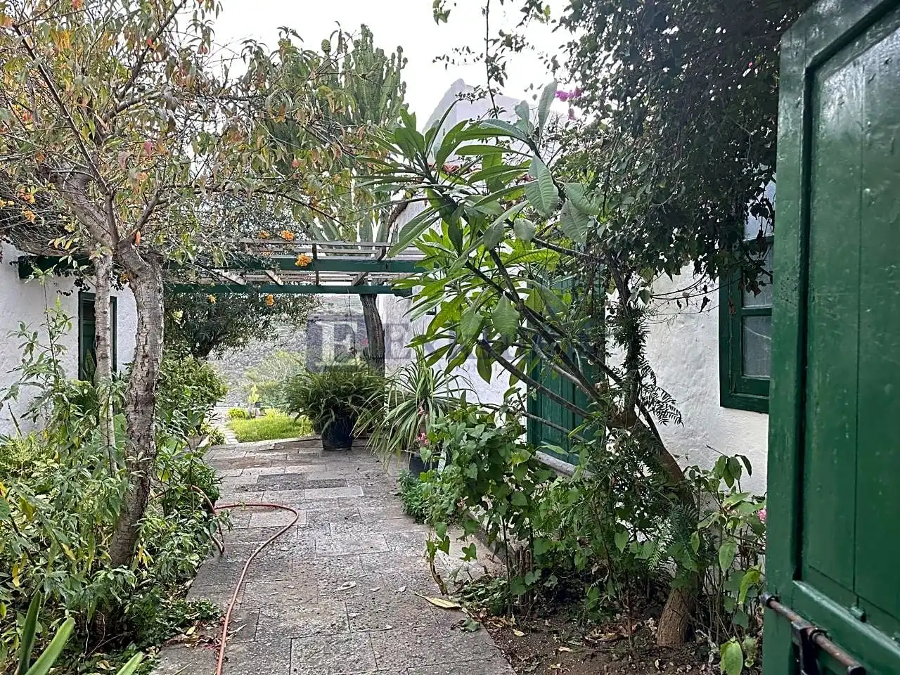 Jardín de Finca rústica en venta en Arico