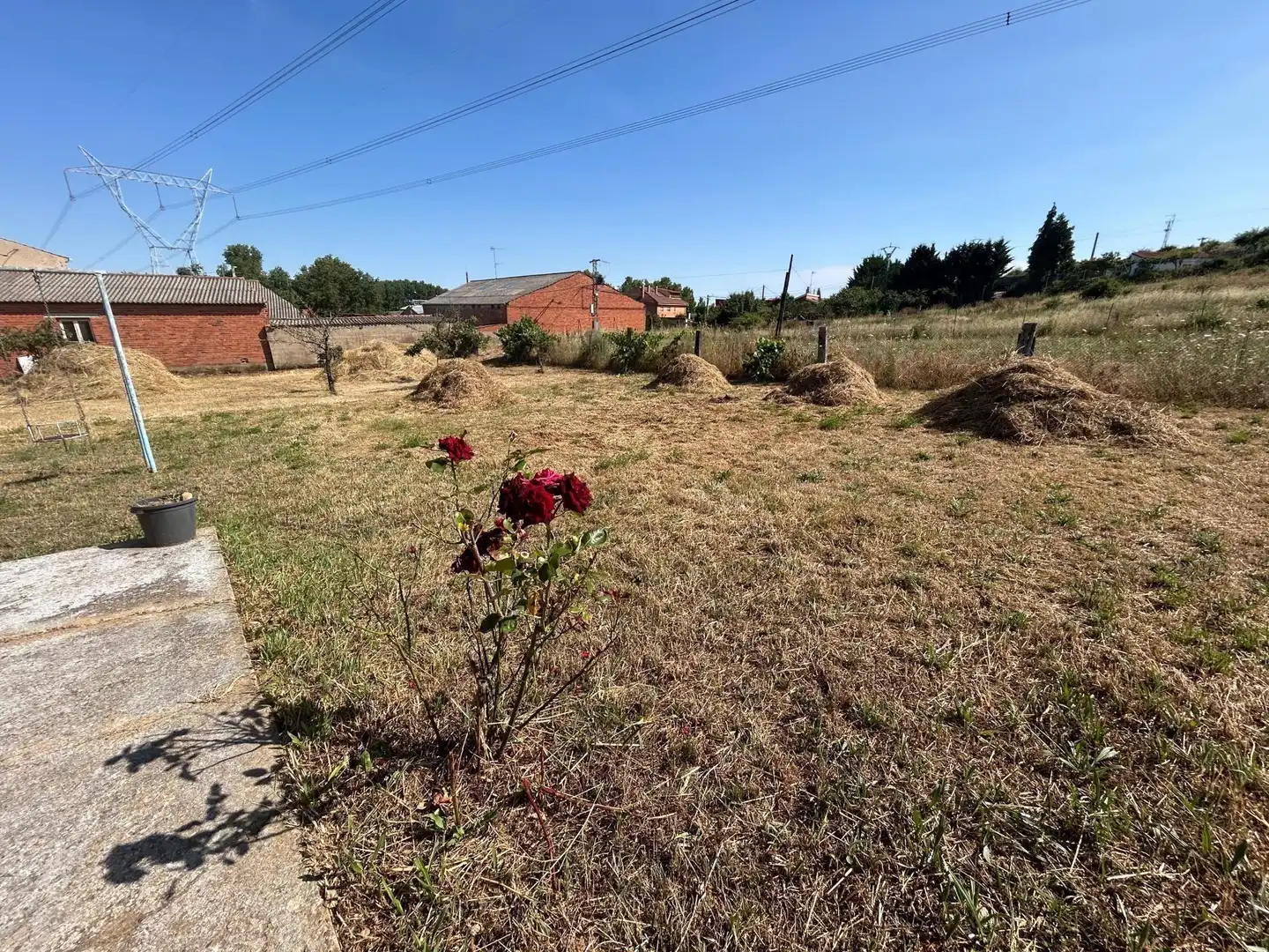 Finca rústica en venta en Benavides