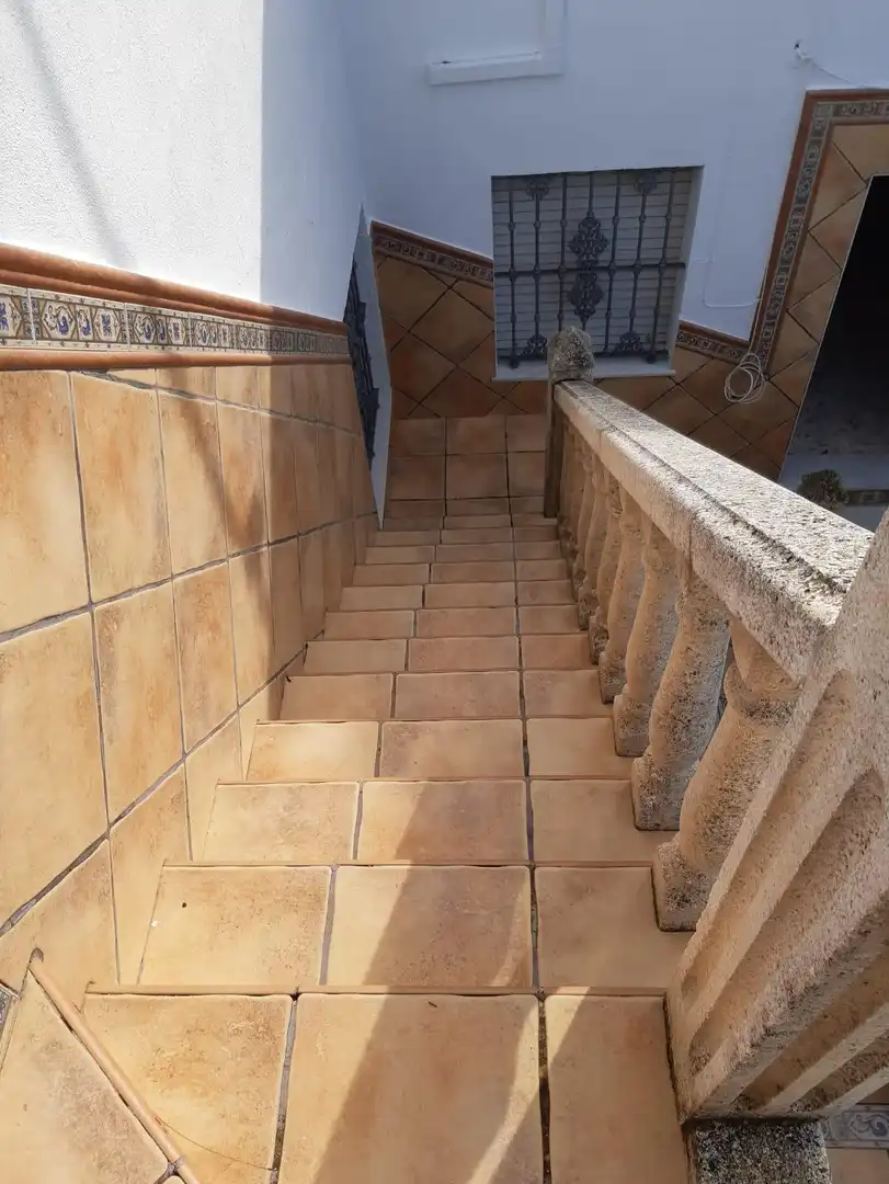 Haus mit Garten zum Verkauf in El Retiro - Parque Atlántico - Ronda este, imagen 28